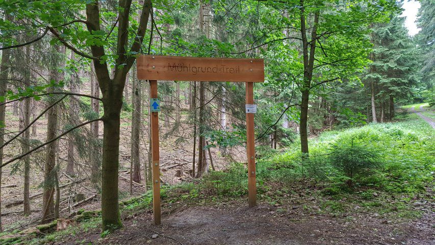 durch den Mühlgrund