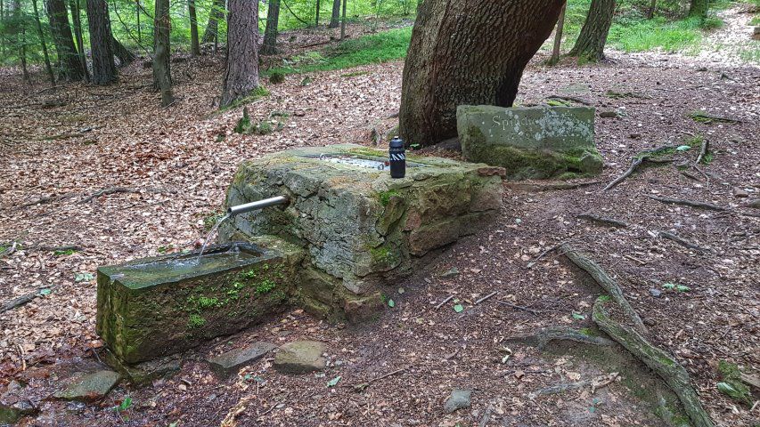 durch den Mühlgrund