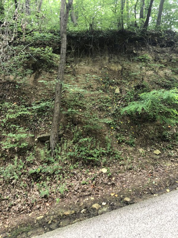 Moderate route in Nyergesújfalu