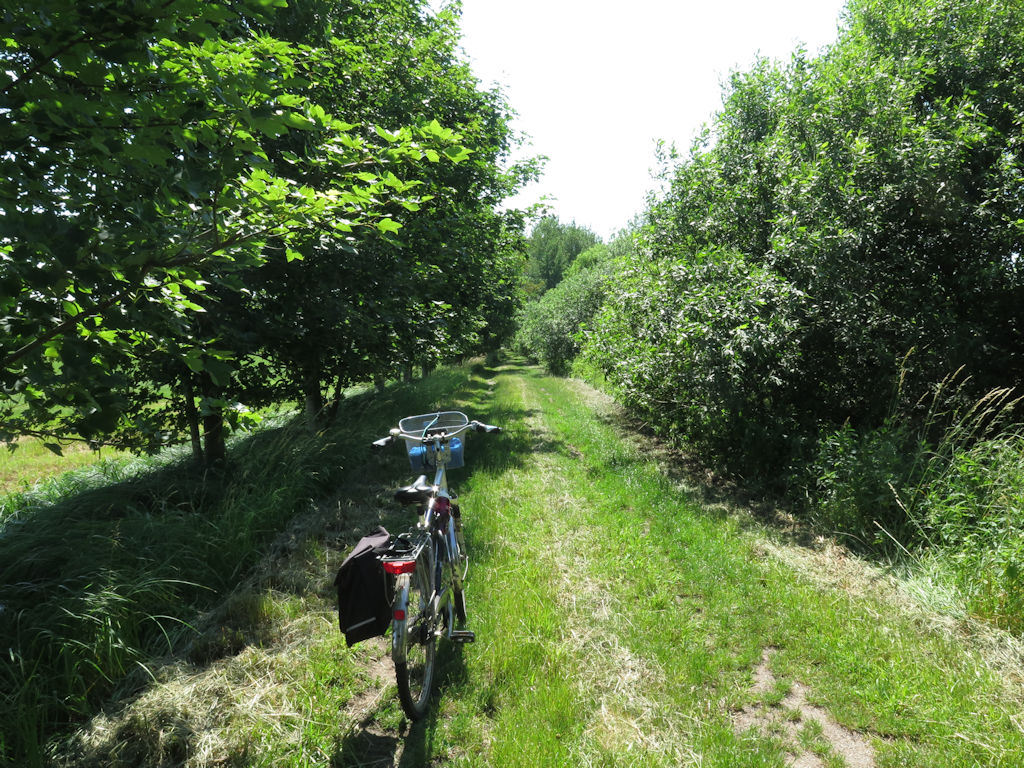 Schwerin-Rundtour: Banzkow - Stör-Wasserstraße