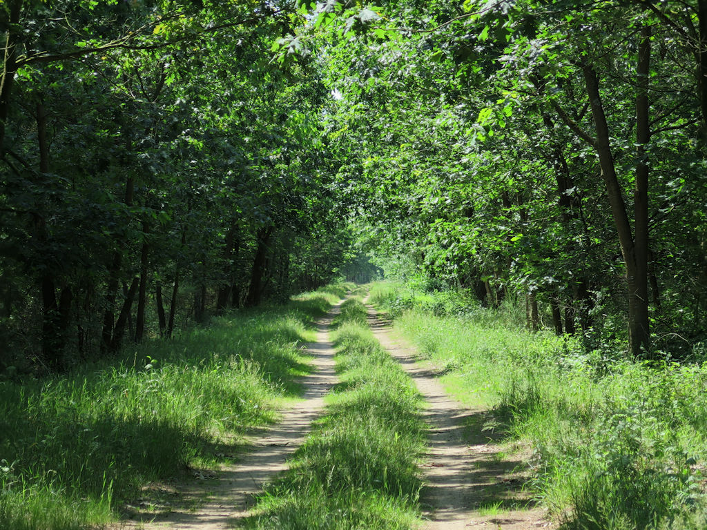 Schwerin-Rundtour: Banzkow - Stör-Wasserstraße