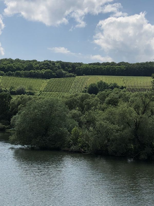 Easy ride in Erlangen