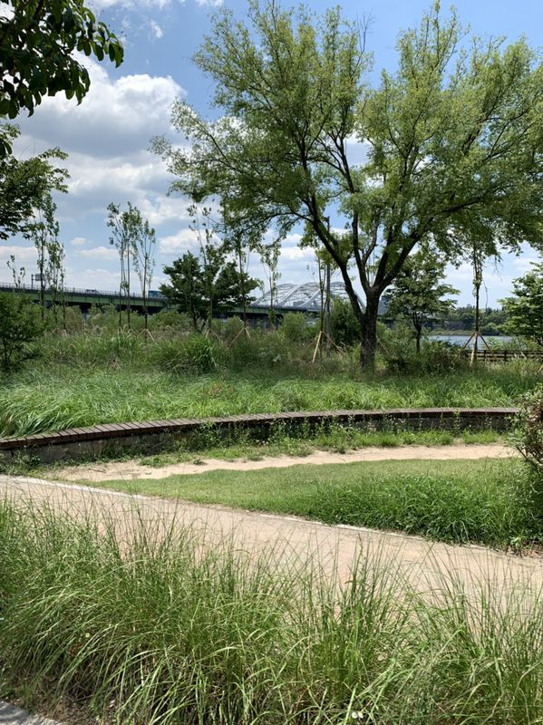 Cheongna to Digital Media City / Sangsu Loop