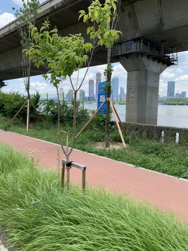 Cheongna to Digital Media City / Sangsu Loop