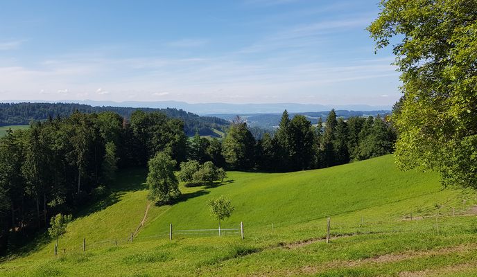 Photo 2 de l’itinéraire Bikemap « Oberburg - Mänziwilegg »