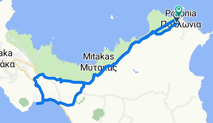 Pollonia Adamas plaka