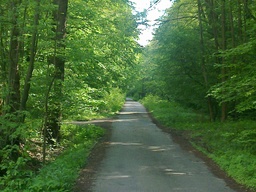 Atrakcja 11 na trasie Bikemap „Holý kopec-Staré Hutě-Salaš 23/5/2010”