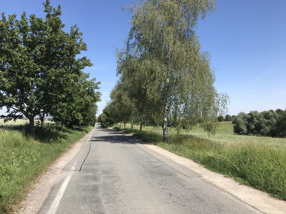 Gemütliche Route in Großschwabhausen