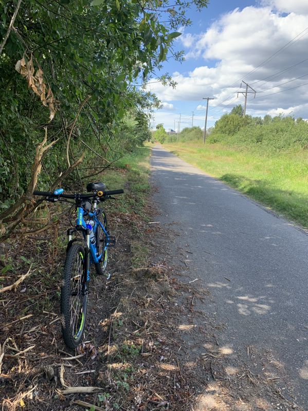 Easy ride in Auburn