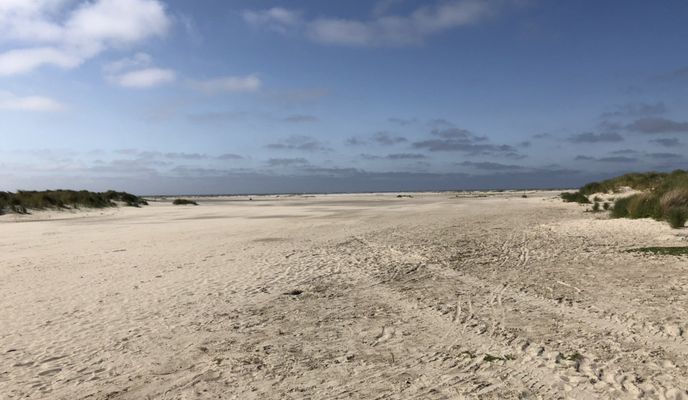 Zdjęcie 1 trasy Bikemap „Gemütliche Route in Renesse”