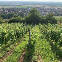 Gerade Fahrt in Karlstein am Main