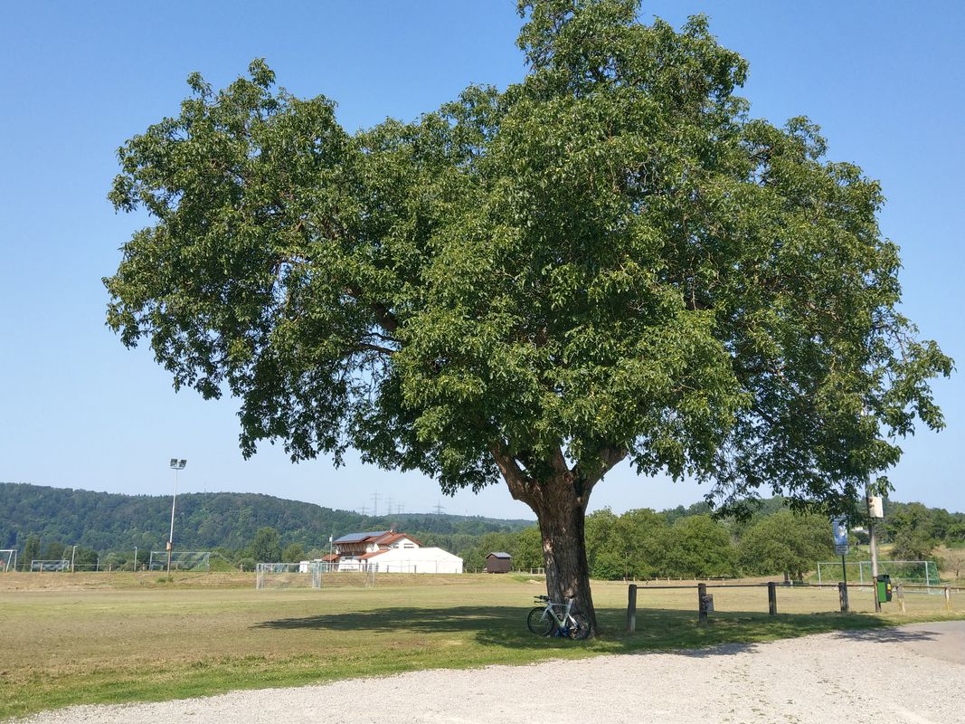 Triathlon Haßmersheim