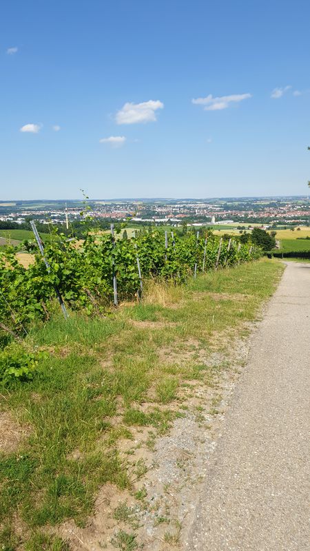 kurze Runde bei 34 C