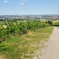 kurze Runde bei 34 C