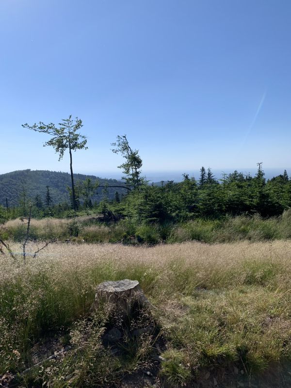 Snail-like route in Szczyrk