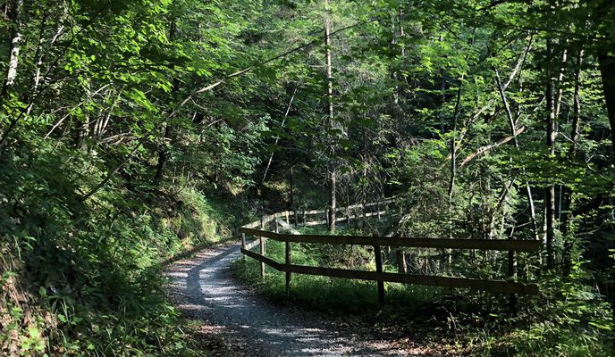 Photo 2 of the Bikemap route "Güatle bis Alpe Weißenfluh"