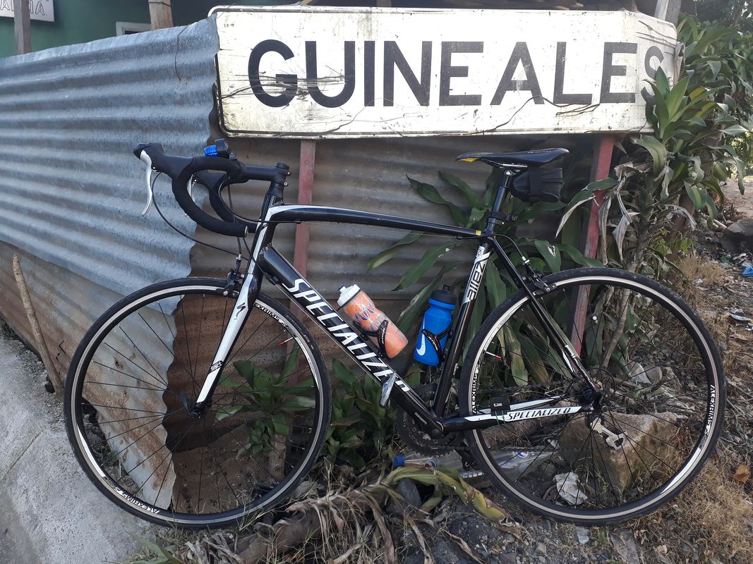 guineales