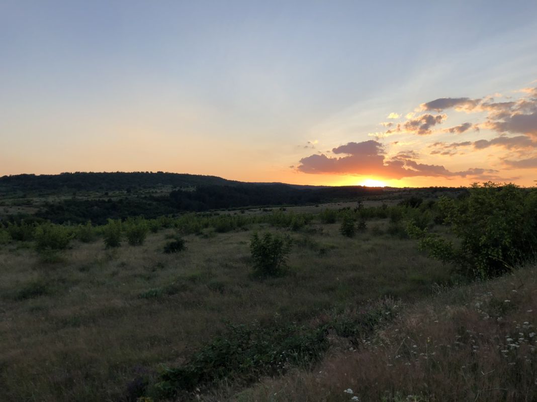 Easy ride in beronovo