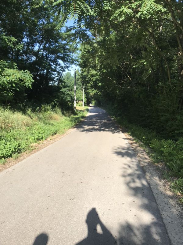 Vrbovec-Zaistovec-extra šuma