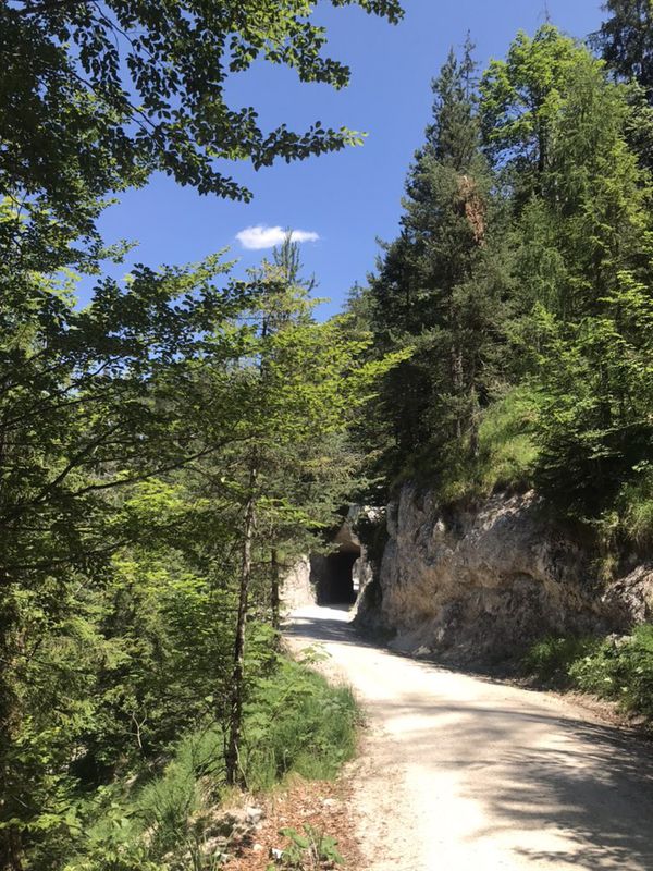 Rundtour ab Schneizlreuth - Achenbergrunde