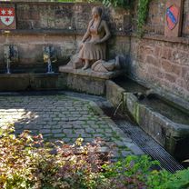 von Brunnen zu Brunnen nach Erbach