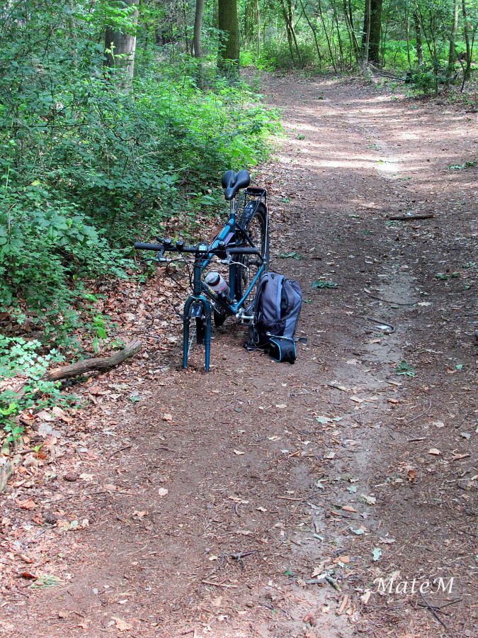 Hebe Bild 1 entlang der Bikemap-Route "2019 Frankfurt am Main" hervor