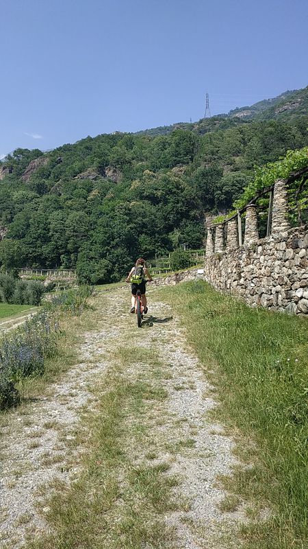 Circuito ad anello Via Francigena da Ivrea a Quincinetto e ritorno