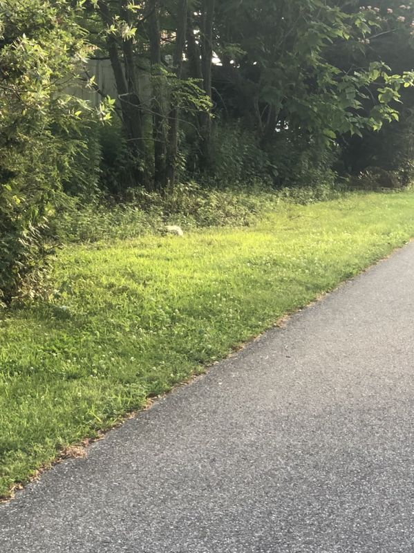 Easy ride in Glassboro