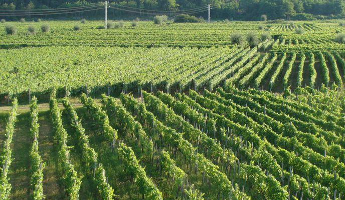 Photo 1 de l’itinéraire Bikemap « Cà Veia (Villa) 1 »