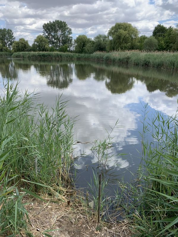 Route im Schneckentempo in Sömmerda