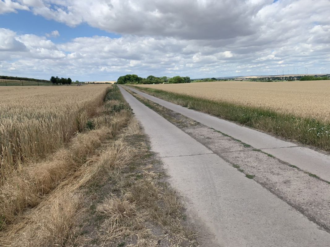 Route im Schneckentempo in Sömmerda