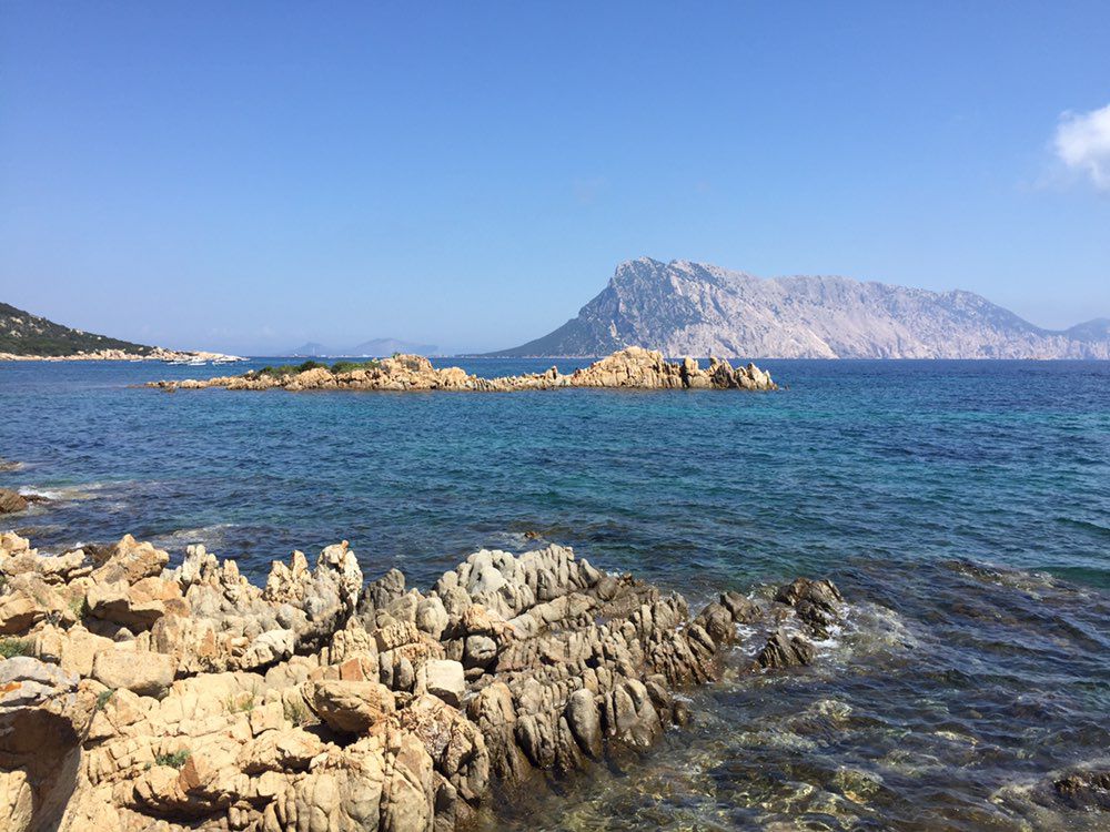 Moderate route in San Teodoro
