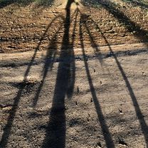 Easy ride in Slough