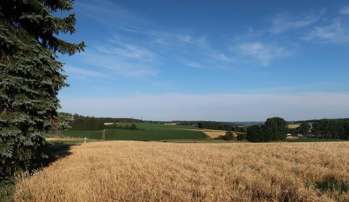 Foto 1 de la ruta de Bikemap "Wörth-Martinshaun-Kläham-Unkofen-Bruckbach-Artlkofen-Mirskofen-Essenbach-Grießenbach-Wörth"