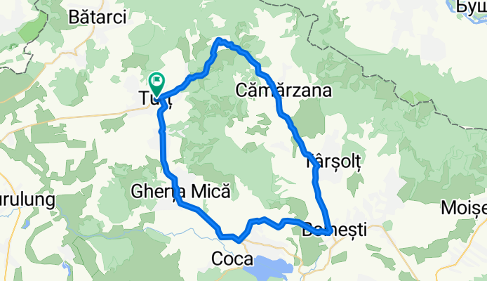 Turt_Camarzana_Lechinta