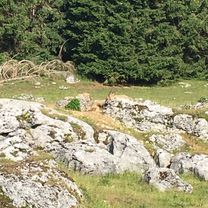 Giro a velocità costante in Roana