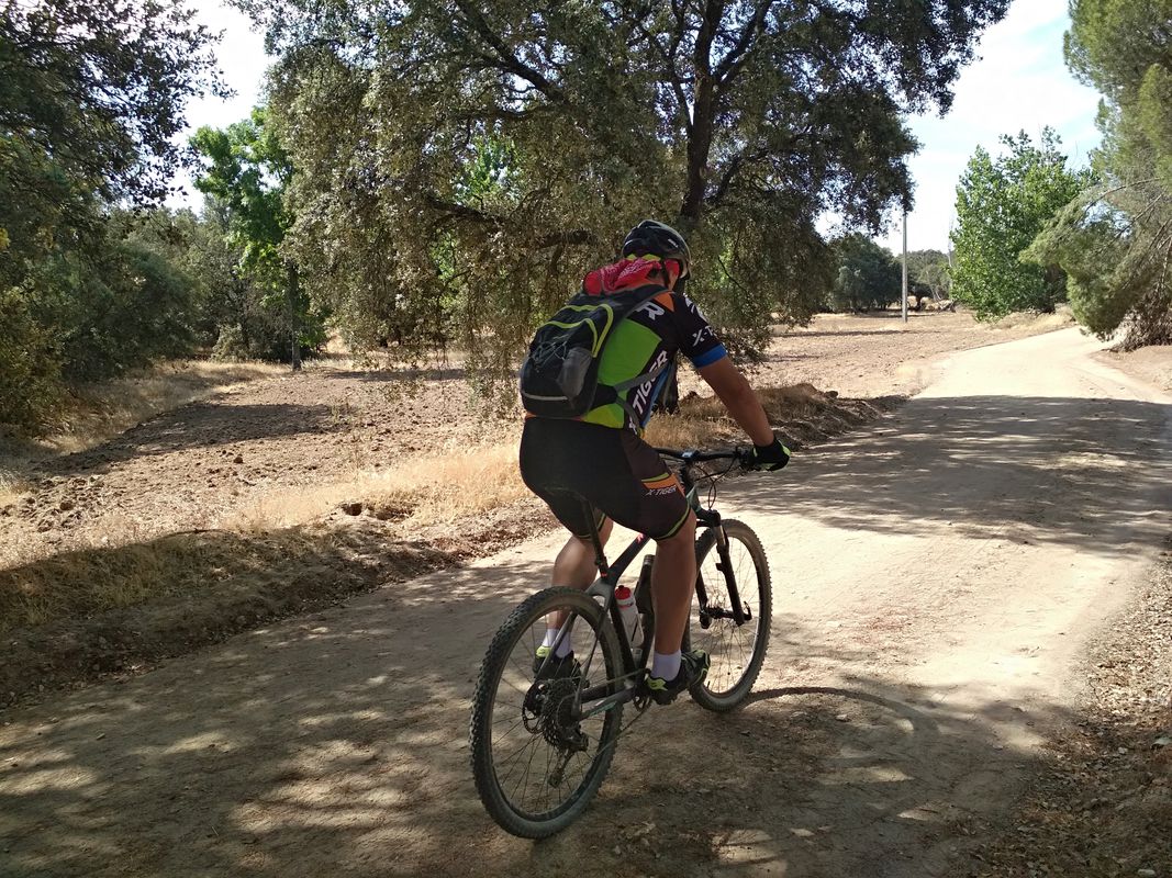 A Brunete y camino palomero