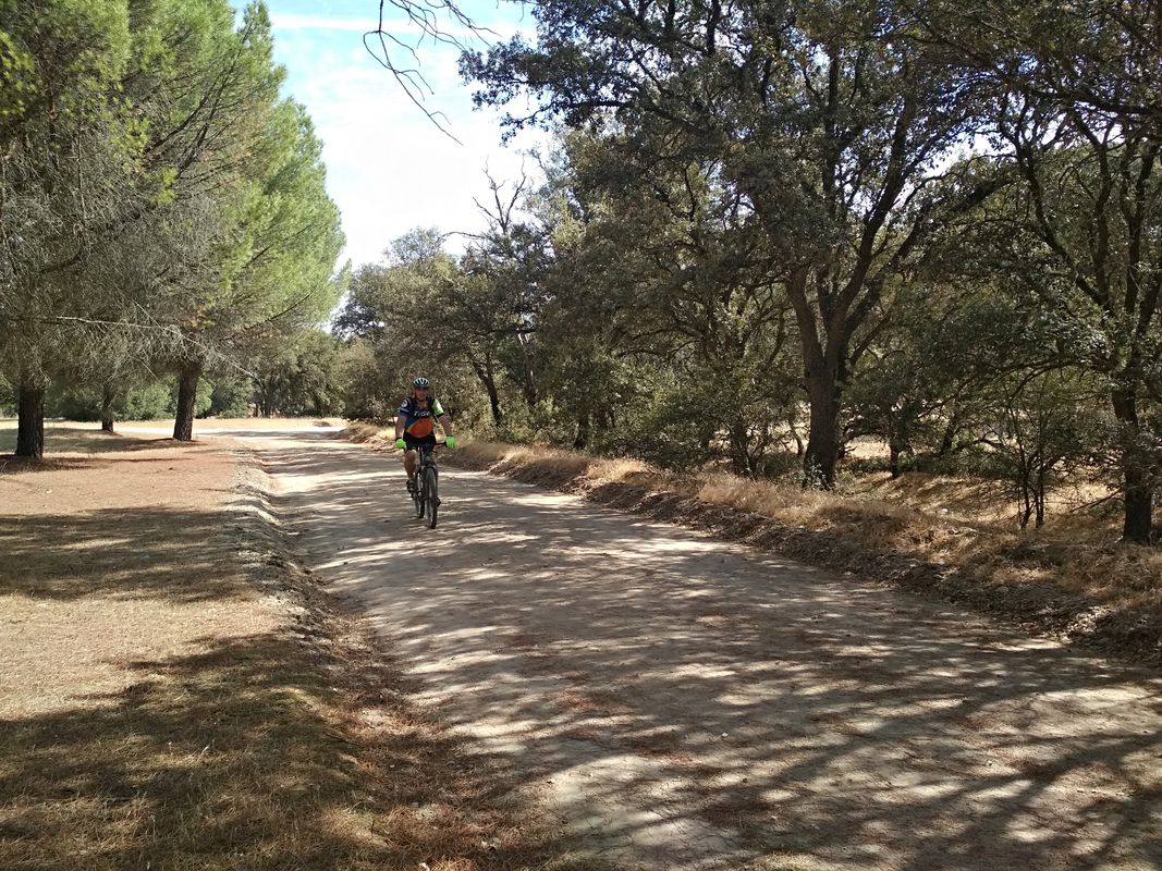 A Brunete y camino palomero