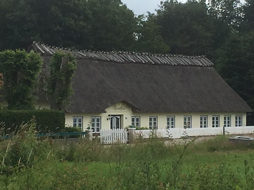 Route im Schneckentempo mit Hund in Mittelangeln