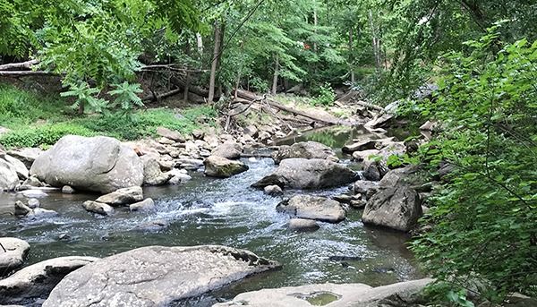 Historic Homes and Urban Nature Trails Ride