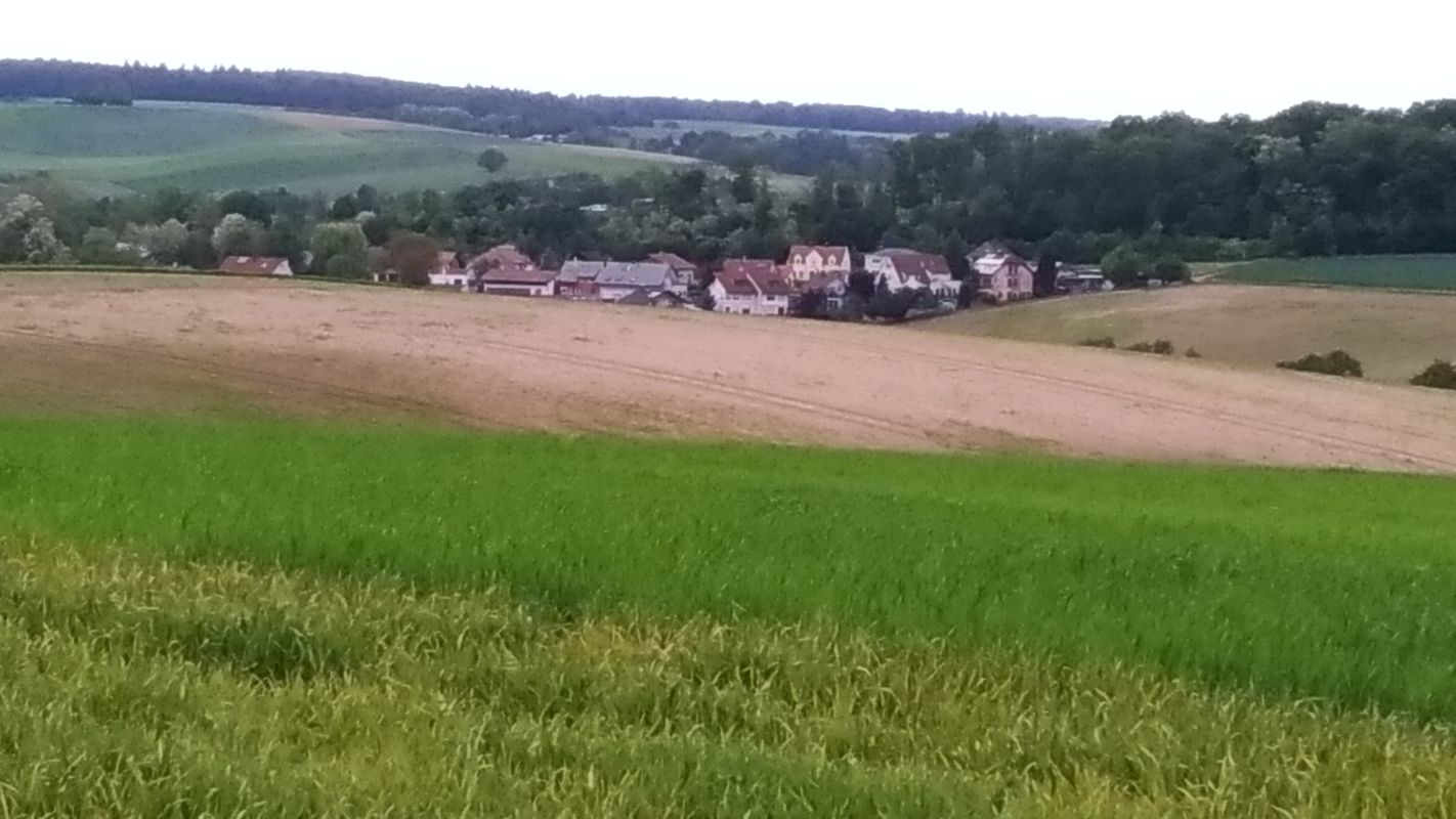 rund um Gondelsheim die 1Termin