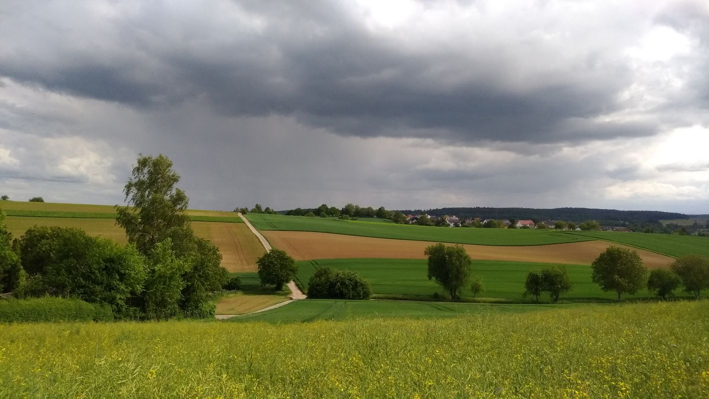 rund um Gondelsheim die 1Termin
