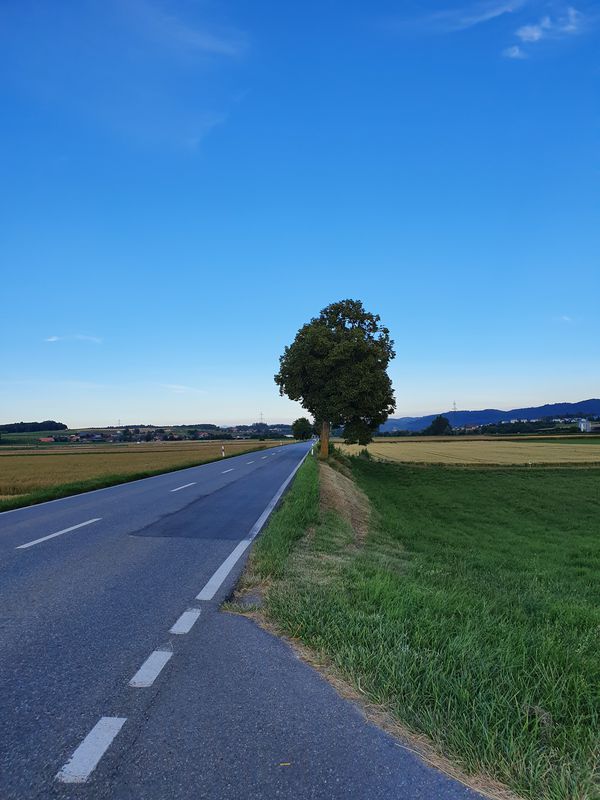 Moosseedorf-Münchenbuchsee