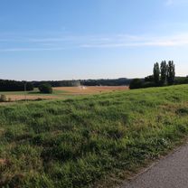 Wörth-Niederviehbach-Hattenkofen-Wimpersing-Lichteneck-Otzlberg-Großbettenrain-Triendorf-Postreit-Oberaichbach-Wörth