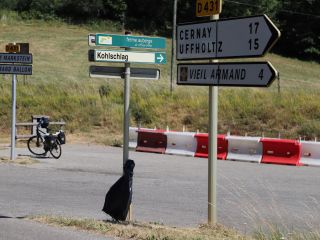 Weunheim,Grand Ballon 1343m, Le Markstein, Munstertal, Guebwiller und zurück nach Wuenheim.
