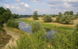 Hebe Bild 4 entlang der Bikemap-Route "Durch den Oderbruch nach Moryn" hervor