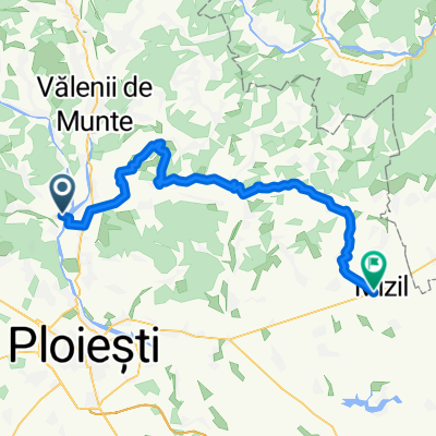 Proiect aprox gavanel mizil.