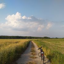 2019/17 Kładka challenge