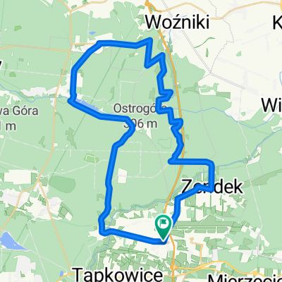 Ożarowice - Woźniki - Dyrdy - Brynica