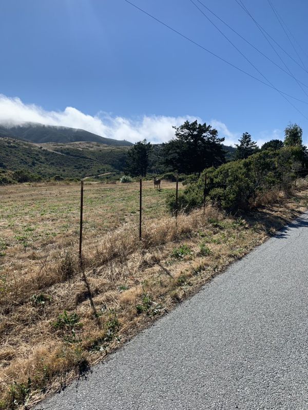 Snail-like route in San Bruno